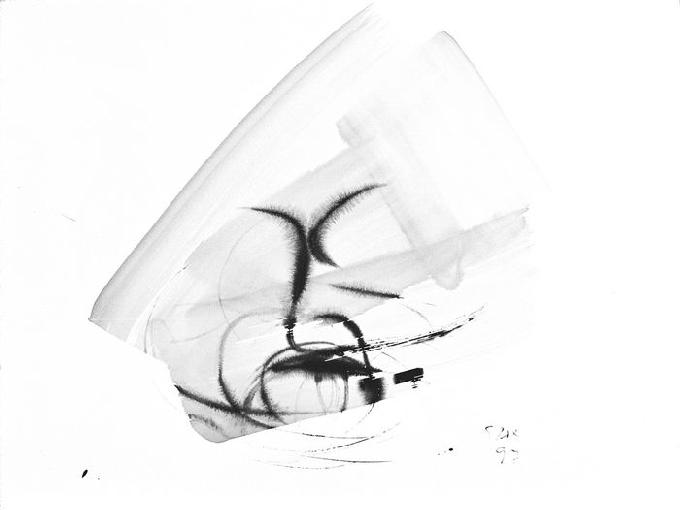 5-1997 drin 51x66 chf 2000.jpg